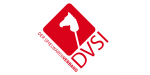 dvsi_logo